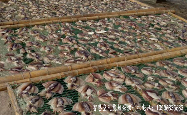 魷魚(yú)烘干機(jī)